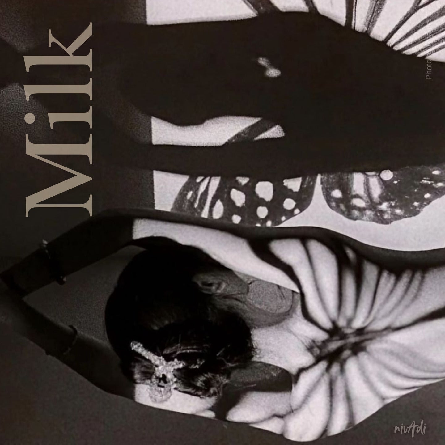 Milk